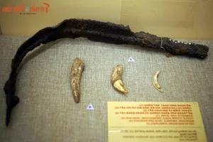 Thousand-Year-Old Ancient Treasure Discovered in Can Gio Vietnam Including Gold and Jade Artifacts - image 8