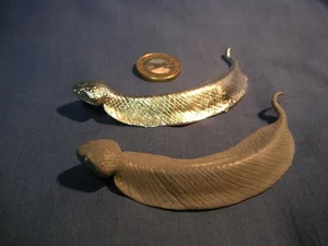 The Mystery of the Snake-Like Creature That Moves Like an Inchworm - image 3