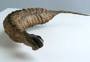 The Mystery of the Snake-Like Creature That Moves Like an Inchworm - image 7