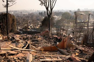 Haunting Images of Los Angeles: The 'War Zone' Reality Left Behind by Wildfire Disasters - image 14