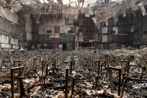 Haunting Images of Los Angeles: The 'War Zone' Reality Left Behind by Wildfire Disasters - image 10