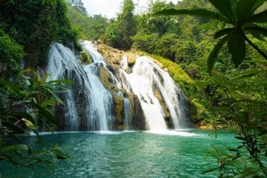 7 Hidden Gems in Quang Tri: The Ultimate Instagrammable Travel Guide - image 8