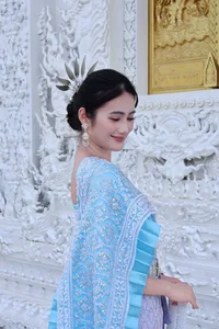 Vietnamese Celebrity Update: Hoai Linh Returns to the US and Heartfelt Tributes - image 13