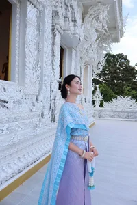 Vietnamese Celebrity Update: Hoai Linh Returns to the US and Heartfelt Tributes - image 51