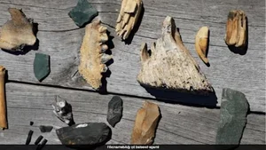 The Mysterious Human Species That Coexisted With Us for 100,000 Years - image 4