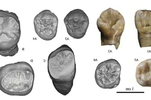 The Mysterious Human Species That Coexisted With Us for 100,000 Years - image 6