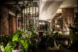 Stunning Transformation of Old Shophouses Into Eye-Catching Modern Homes - image 2