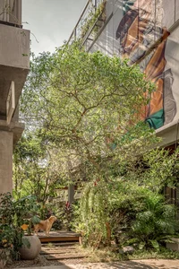 Stunning Transformation of Old Shophouses Into Eye-Catching Modern Homes - image 4