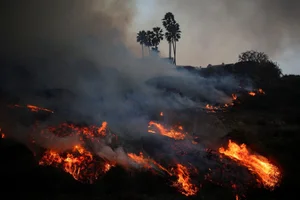 Devastating California Wildfires Force Evacuation of 30,000 Residents - image 2