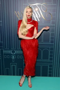 Top 10 Most Stunning Red Carpet Gowns of 2023: Fashion Highlights - image 9