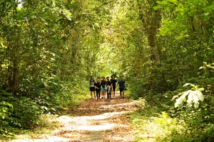 Trekking Cat Ba National Park: Exploring the Hidden Viet Hai Ancient Village - image 4
