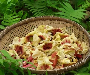 The Resurgence of Forgotten Wild Fruits in Urban Vietnam - image 8