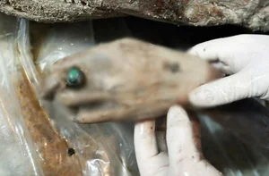 Unveiling Secrets: The Shocking Discovery of an Intact Ancient Mummy - image 5