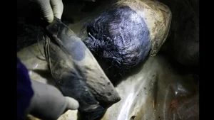 Unveiling Secrets: The Shocking Discovery of an Intact Ancient Mummy - image 6