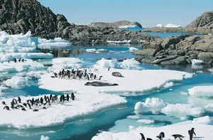 15 Mind-Blowing Facts About Antarctica, the Coldest Continent on Earth - image 1