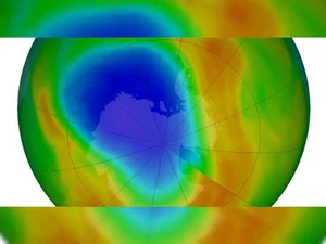 15 Mind-Blowing Facts About Antarctica, the Coldest Continent on Earth - image 9