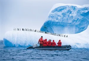 15 Mind-Blowing Facts About Antarctica, the Coldest Continent on Earth - image 12