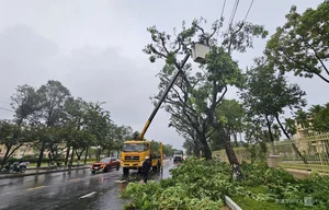 Storm Preparation in Central Vietnam: Protecting Heritage and Livelihoods Against Natural Disasters - image 5