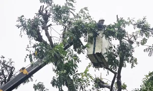 Storm Preparation in Central Vietnam: Protecting Heritage and Livelihoods Against Natural Disasters - image 9