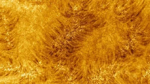 A New Perspective: NASA Captures the Most Detailed Images of the Sun - image 6