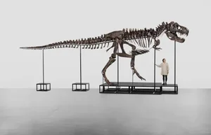 Discover the Mystery of Egypt's Giant Horned Dinosaur Species - image 3