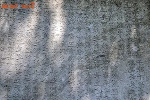 Eternal Beauty of Vietnam's National Treasure Stone Steles - image 8