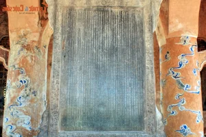Eternal Beauty of Vietnam's National Treasure Stone Steles - image 11