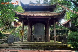 Eternal Beauty of Vietnam's National Treasure Stone Steles - image 10
