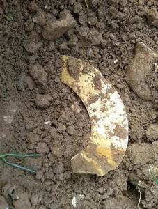 Hidden Gold: A Metal Detectorist’s Stunning Discovery in an Open Field - image 4