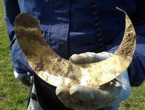 Hidden Gold: A Metal Detectorist’s Stunning Discovery in an Open Field - image 3