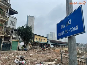 Rising Concern: Litter and Waste Pollution Plagues Coastal Roads in Son Tra - image 3