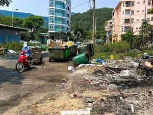 Rising Concern: Litter and Waste Pollution Plagues Coastal Roads in Son Tra - image 2