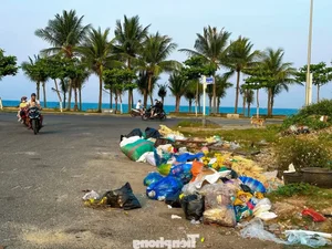 Rising Concern: Litter and Waste Pollution Plagues Coastal Roads in Son Tra - image 4