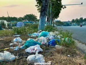 Rising Concern: Litter and Waste Pollution Plagues Coastal Roads in Son Tra - image 5