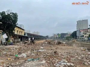 Rising Concern: Litter and Waste Pollution Plagues Coastal Roads in Son Tra - image 0