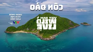 Groundbreaking Milestone: All Vietnamese Citizens to Receive Free Access to New Digital Service - image 5