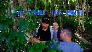 Groundbreaking Milestone: All Vietnamese Citizens to Receive Free Access to New Digital Service - image 1