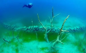Secrets of the Deep: Exploring Mysterious Sunken Villages Beneath the Ocean Waves - image 4