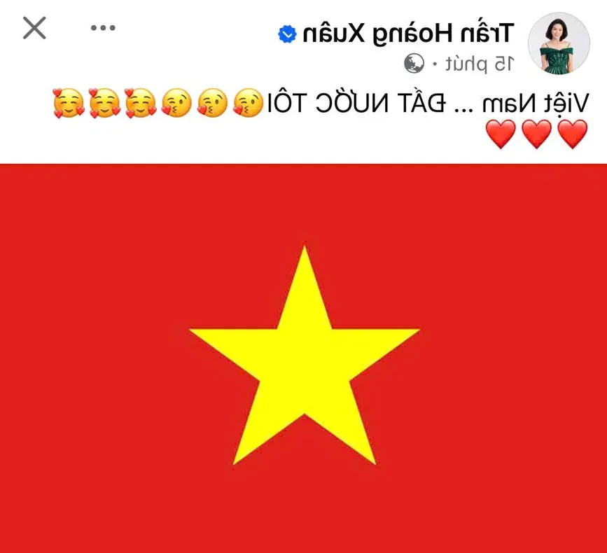 Vietnamese Celebrities Celebrate Dramatic National Football Team Victory