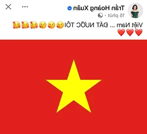 Vietnamese Celebrities Celebrate Dramatic National Football Team Victory - image 0