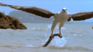 Venom-Resistant Predators: How These Animals Eat Deadly Snakes and Survive - image 0