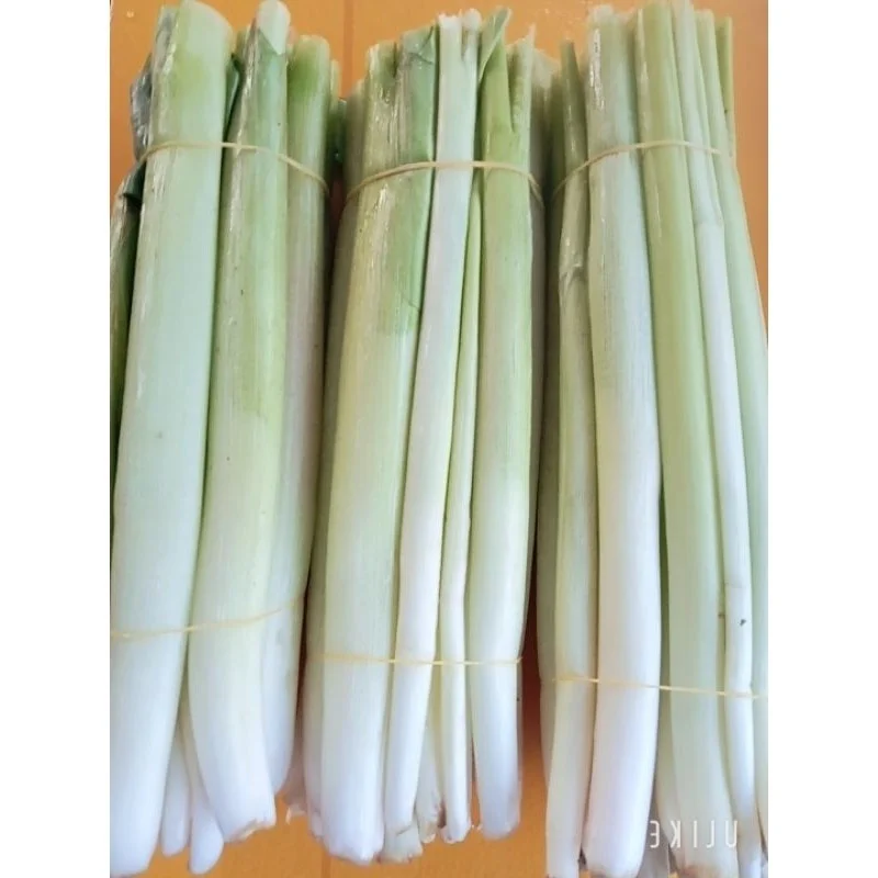From Pig Feed to Gourmet: The 90,000 VND Wild Plant Specialty