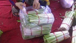From Pig Feed to Gourmet: The 90,000 VND Wild Plant Specialty - image 1