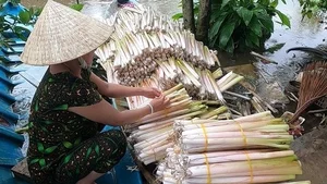 From Pig Feed to Gourmet: The 90,000 VND Wild Plant Specialty - image 2