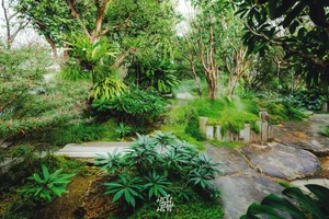 6 Creative Backyard Garden Ideas to Transform Your Outdoor Space - image 2