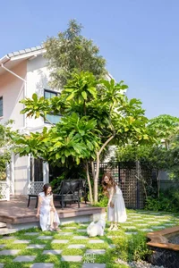 6 Creative Backyard Garden Ideas to Transform Your Outdoor Space - image 5