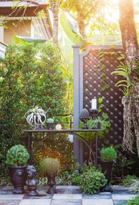 6 Creative Backyard Garden Ideas to Transform Your Outdoor Space - image 14