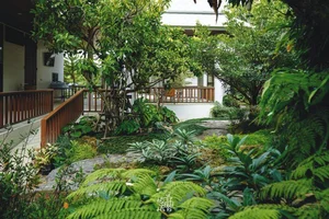 6 Creative Backyard Garden Ideas to Transform Your Outdoor Space - image 11