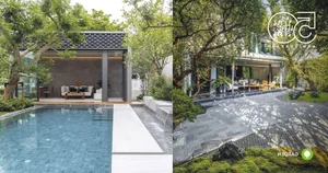 6 Creative Backyard Garden Ideas to Transform Your Outdoor Space - image 1