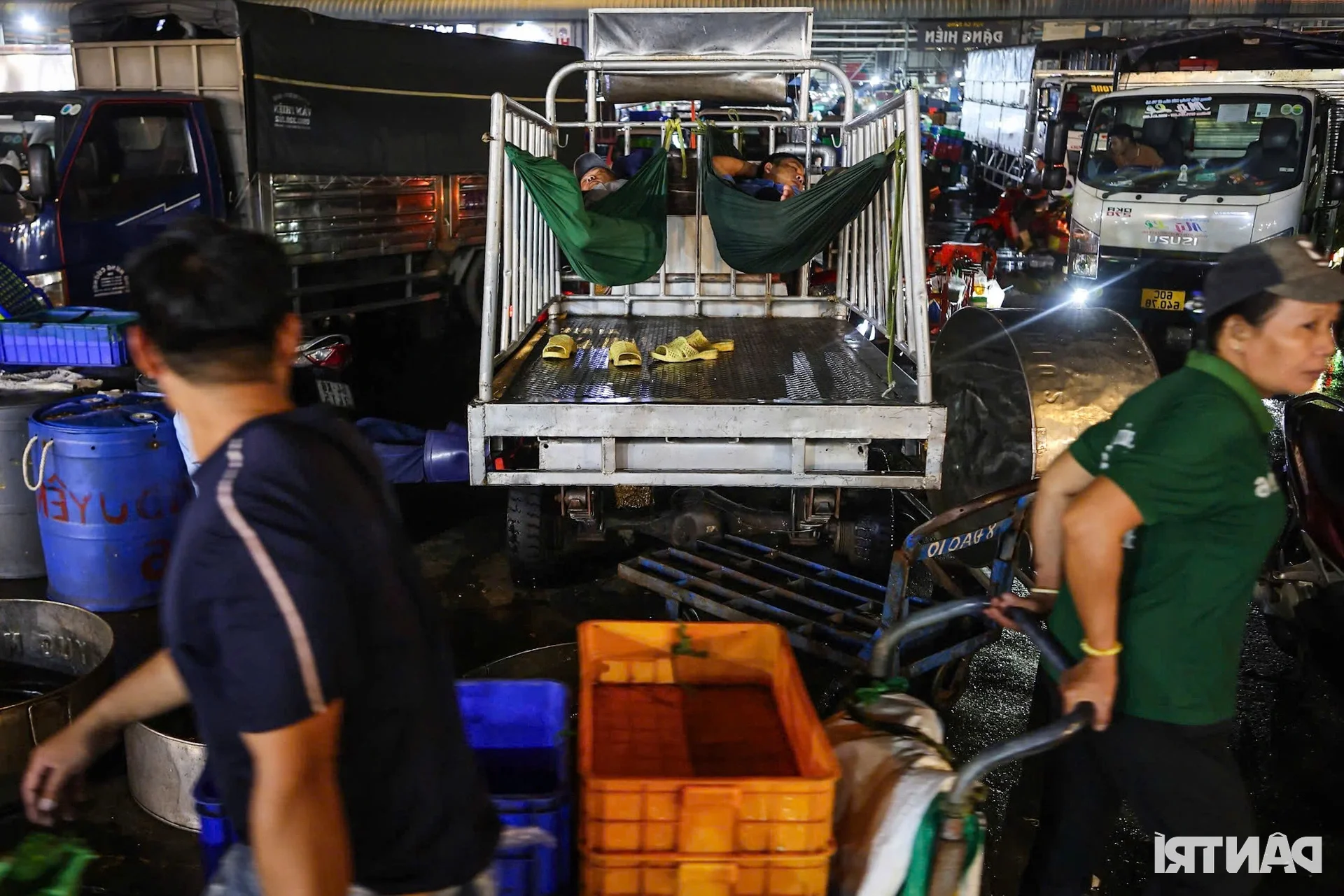 Inside Ho Chi Minh City’s Largest Snakehead Fish Market for God of Wealth Day